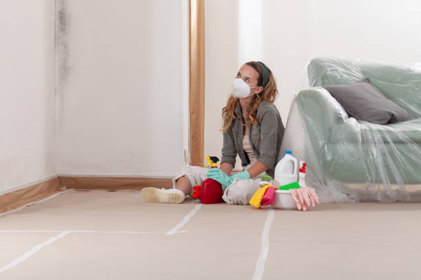 Reliable Mold Cleanup contractor in Dunellen, NJ by WQB Mold Removal